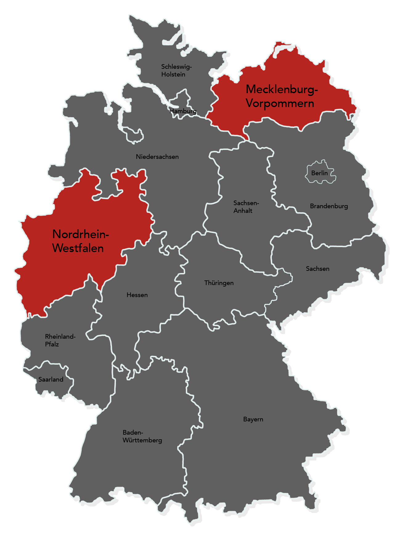 Pflügen mit Zwischenfruchteinssat in OWL durch Marten & Teune