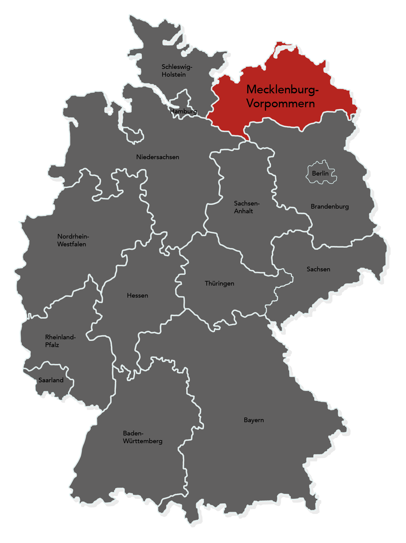 Pflügen mit Zwischenfruchteinssat in OWL durch Marten & Teune