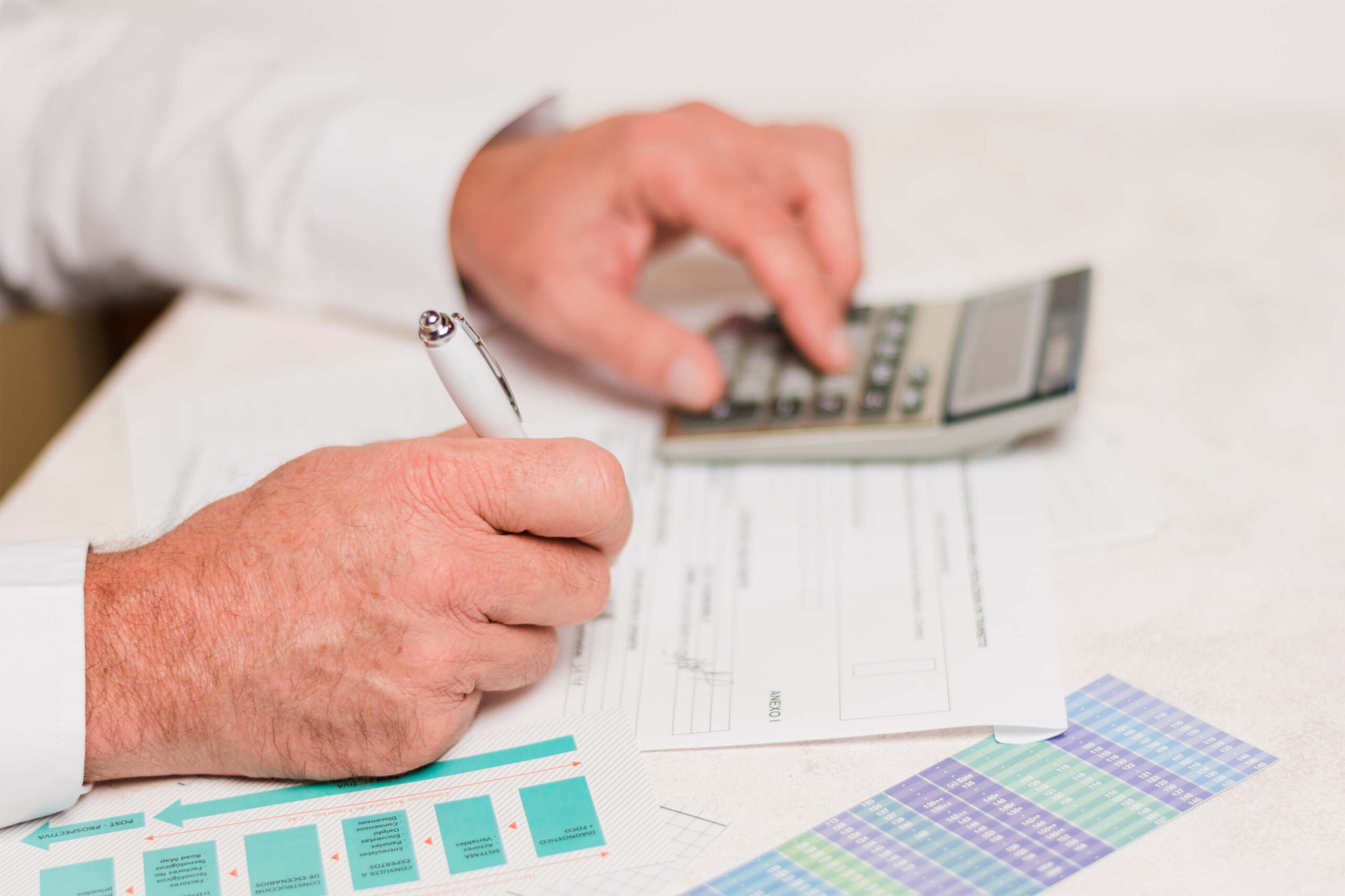 Pflügen mit Zwischenfruchteinssat in OWL durch Marten & Teune