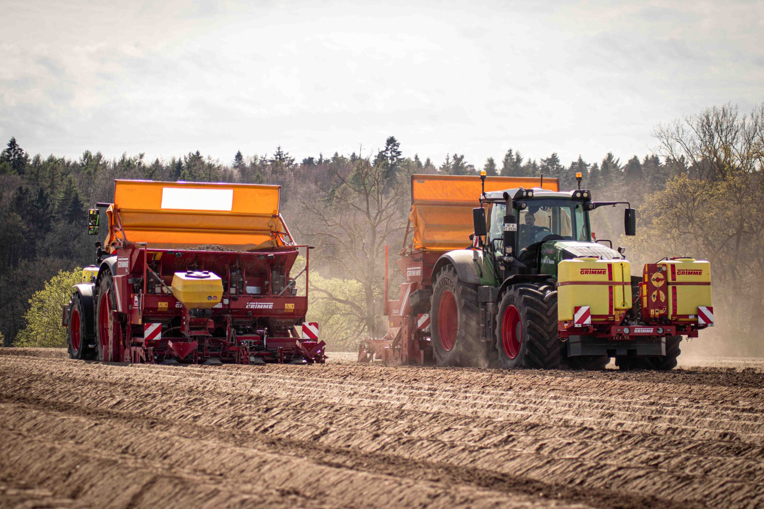 Kartoffel_