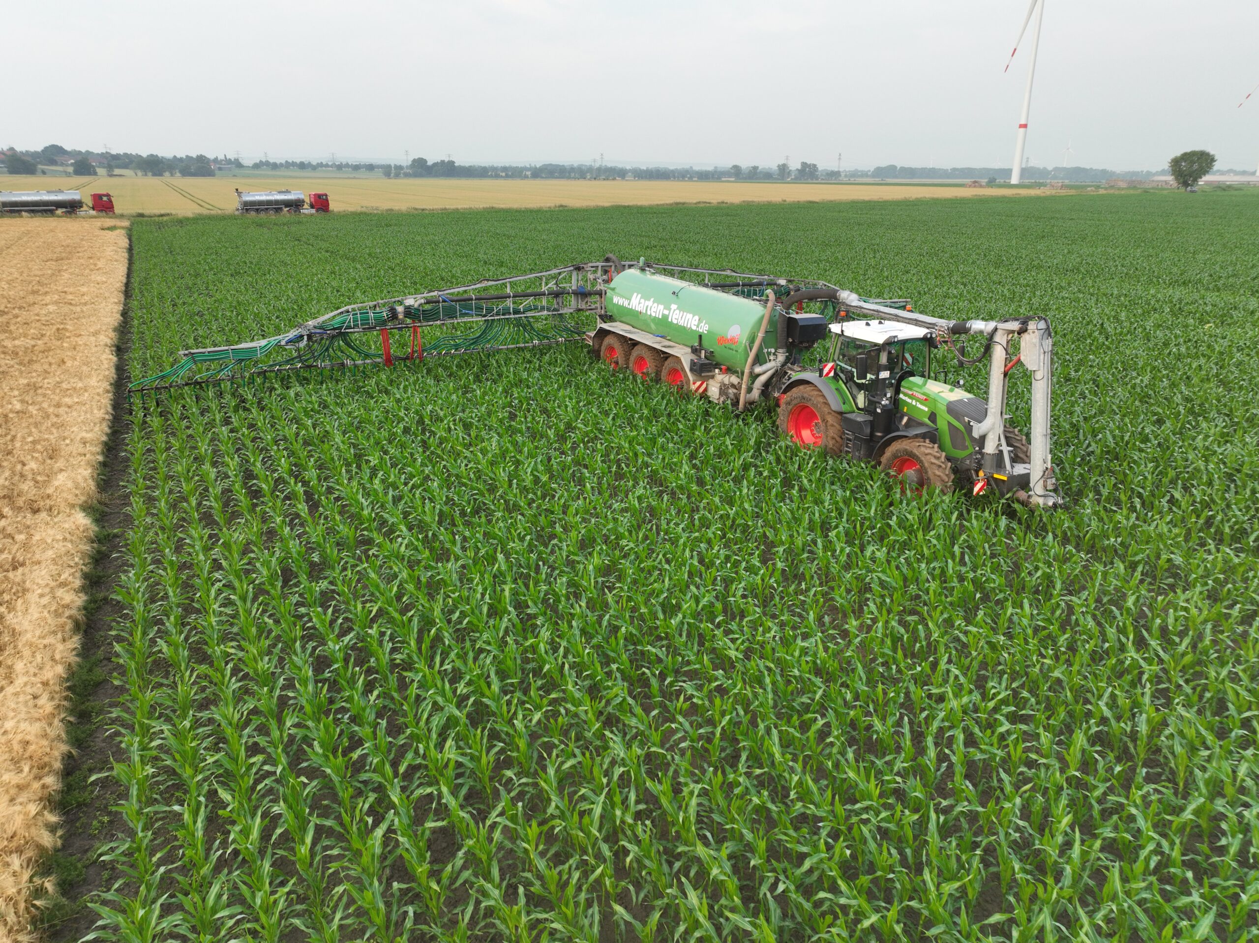 Pflügen mit Zwischenfruchteinssat in OWL durch Marten & Teune