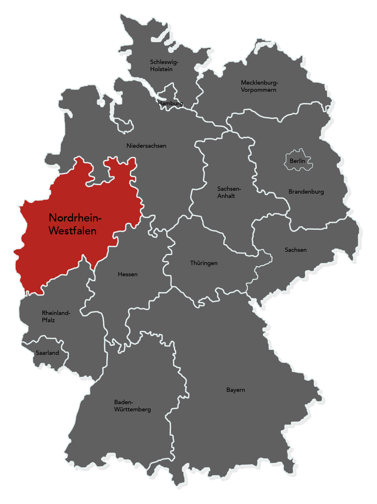 Pflügen mit Zwischenfruchteinssat in OWL durch Marten & Teune