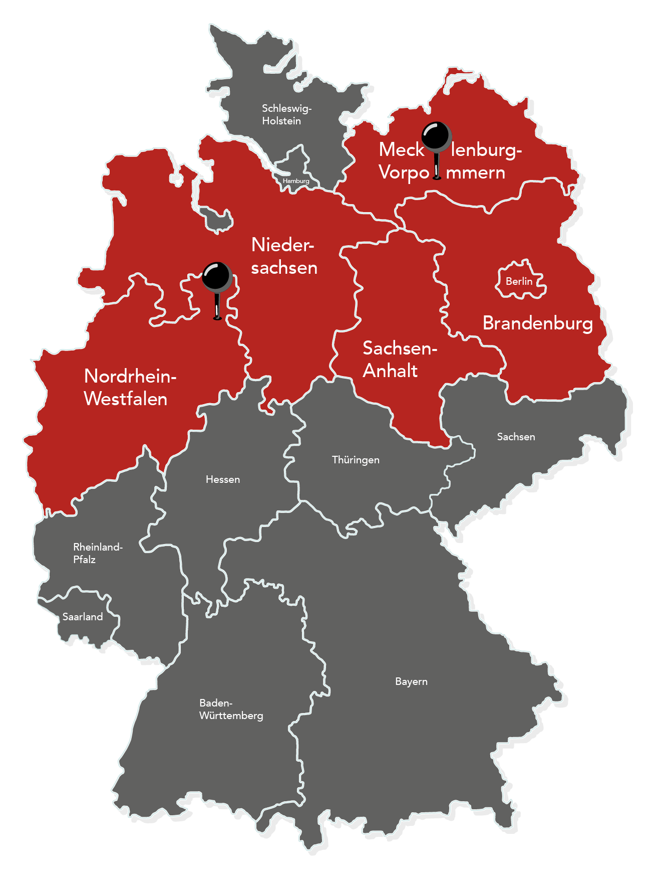 Pflügen mit Zwischenfruchteinssat in OWL durch Marten & Teune